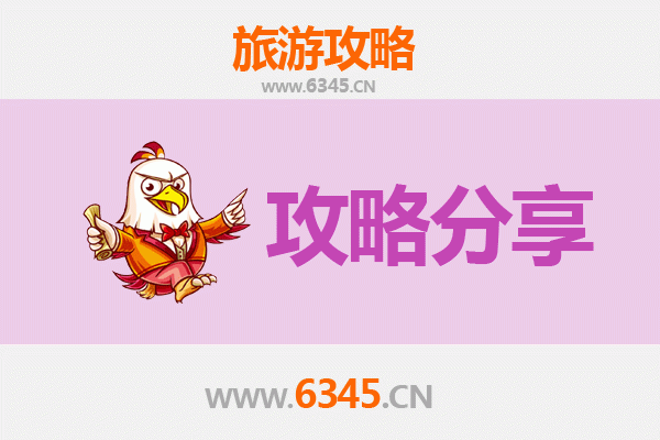 阿拉尔工业园区旅游攻略：跟团与自由行深度对比